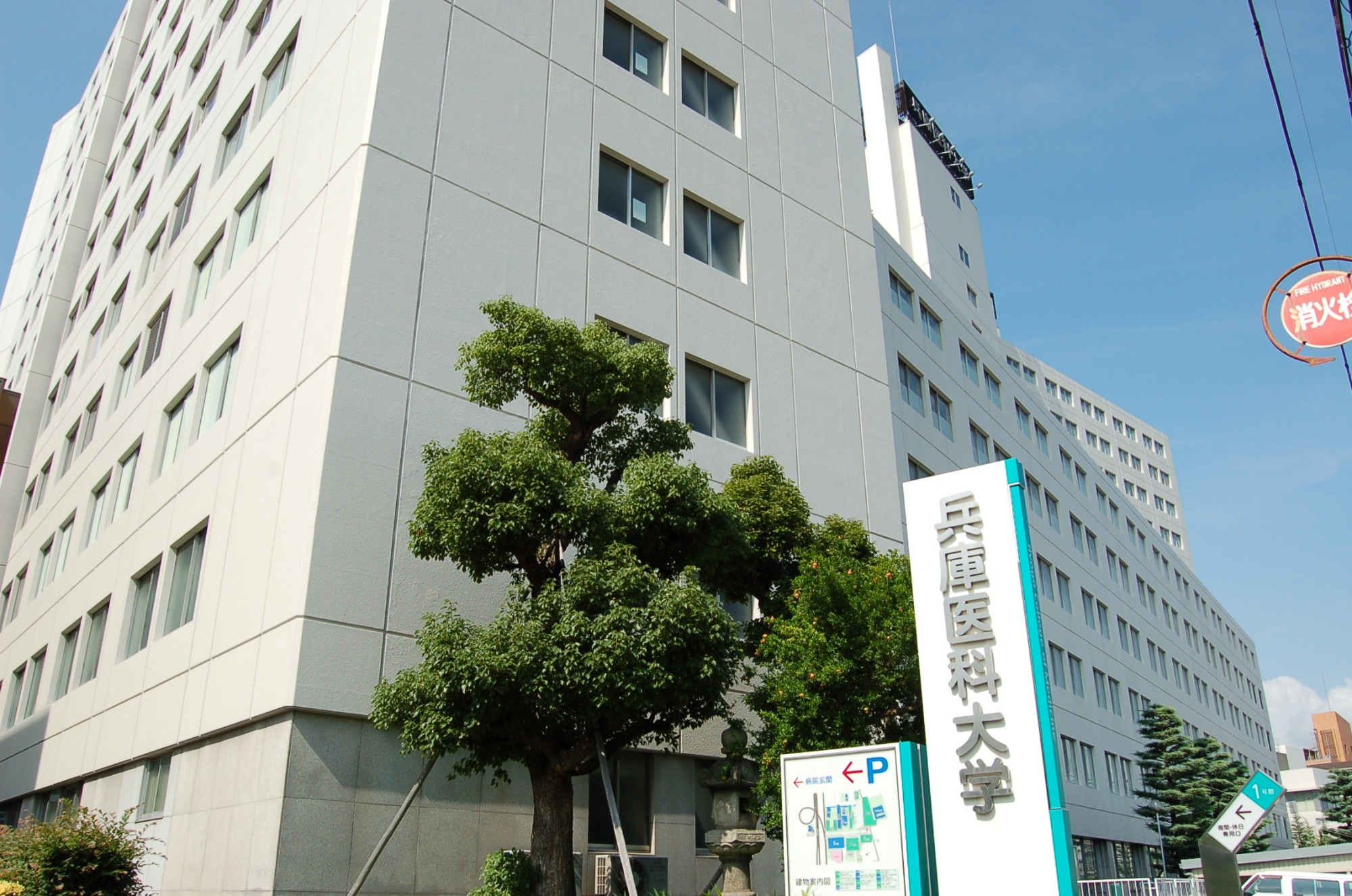 兵庫医科大学病院