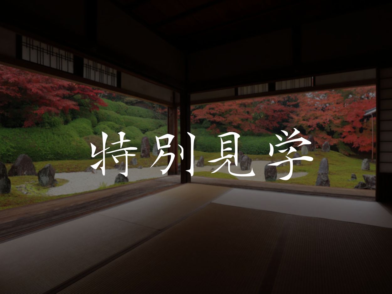 特別見学