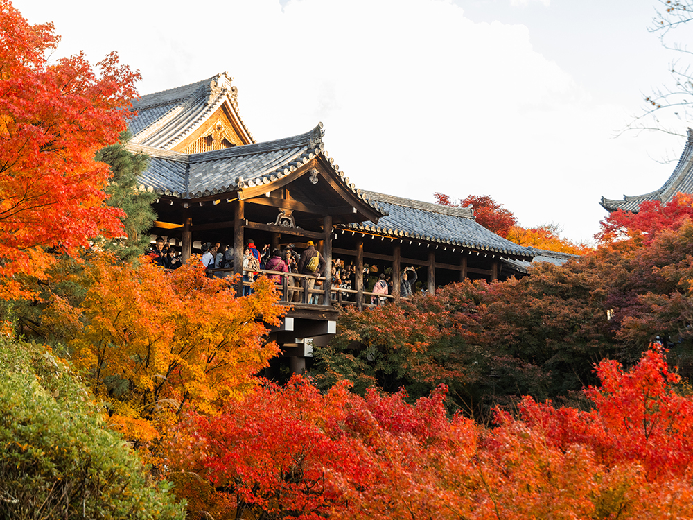 京都 臨済宗東福寺派大本山 東福寺
非公開エリア・特別参拝体験