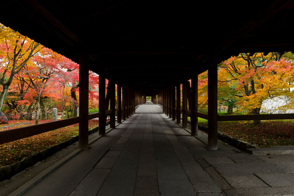 京都 臨済宗東福寺派大本山 東福寺
非公開エリア・特別参拝体験