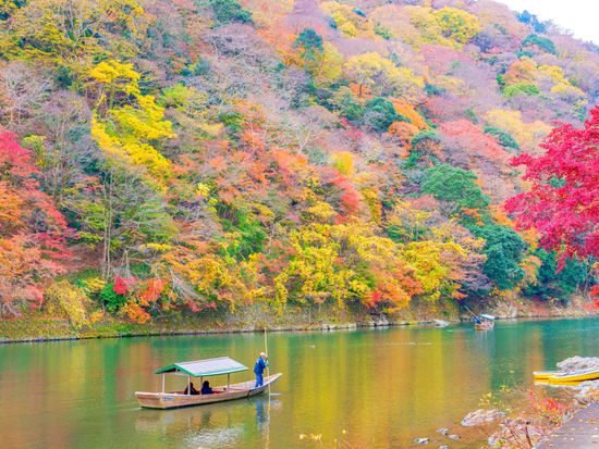 京都 嵐山
元舞妓同行・三味線演奏貸切屋形船体験