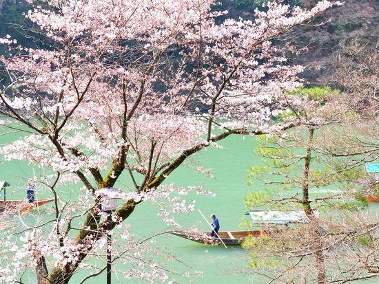 京都 嵐山
貸切屋形船・昼食付き遊覧体験