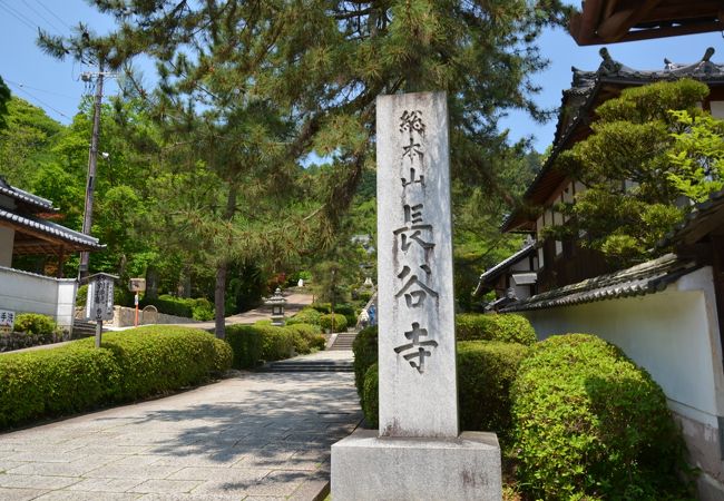 奈良 長谷寺
御足参り・十一面観音特別祈願体験