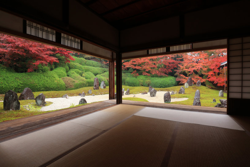 京都 东福寺塔头 光明院
非公开区域完全包场·私享书道坐禅体验-2