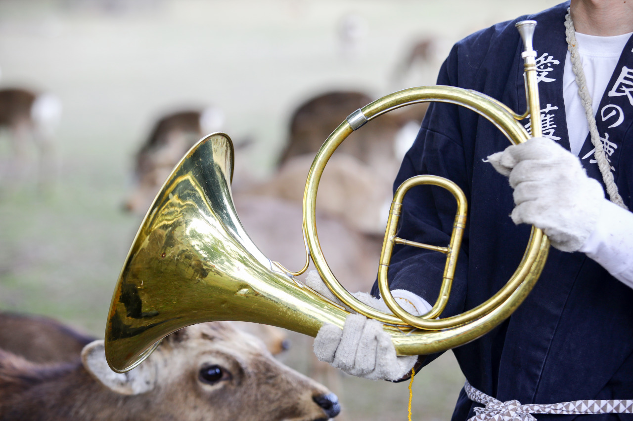 奈良 春日大社
神鹿号角·专属神域臻享体验-5