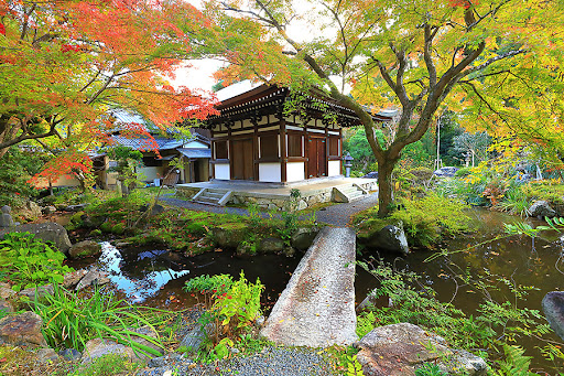 京都 白沙村荘 
日本画家关雪茶室特别包场 · 私享茶人柿崎润子茶道体验-4
