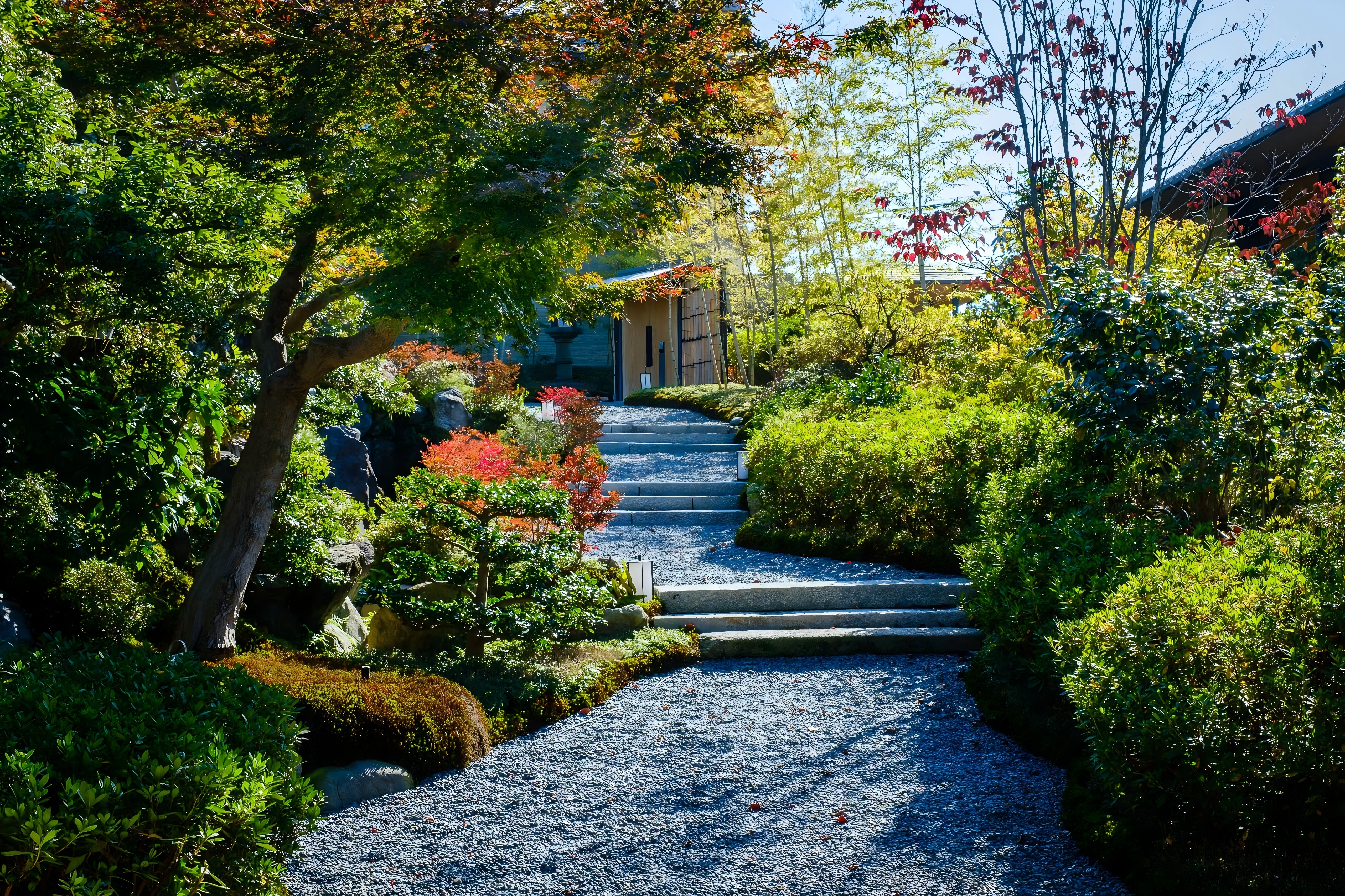 京都 【京大和】送陽亭
名门料亭· 本格茶道私享体验-5