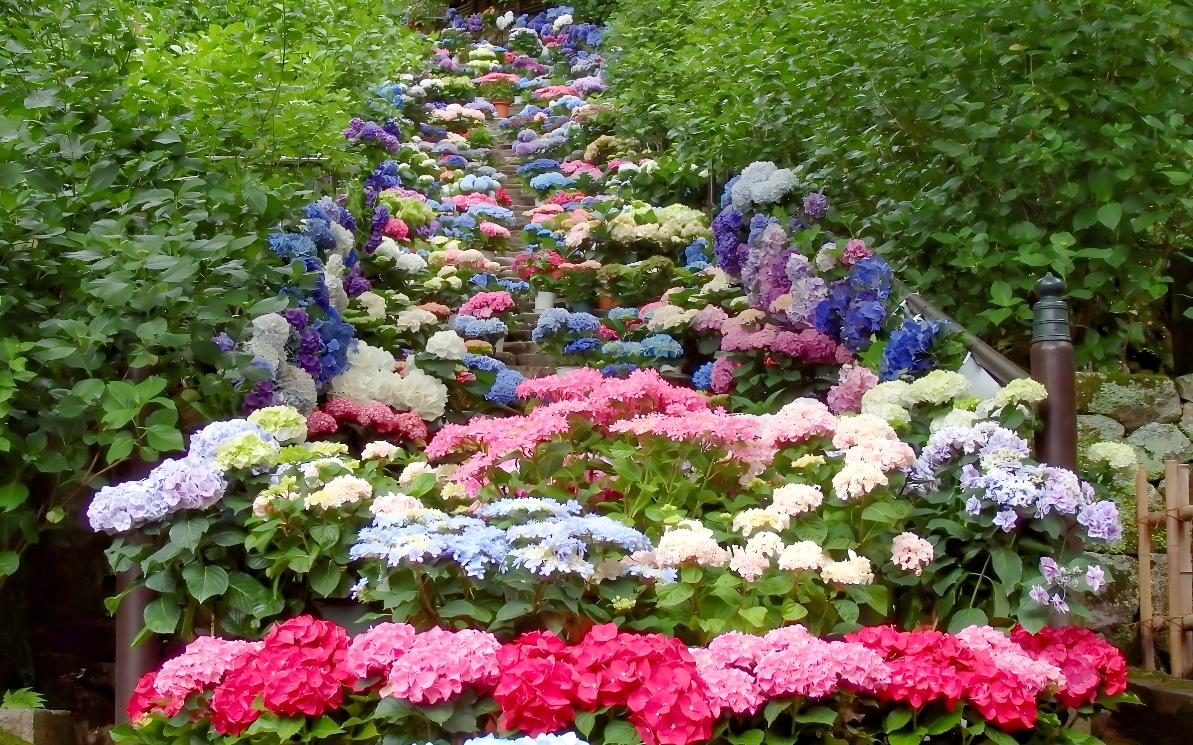 奈良 长谷寺
触及观音之足 · 十一面观音特别祈愿参拜-5